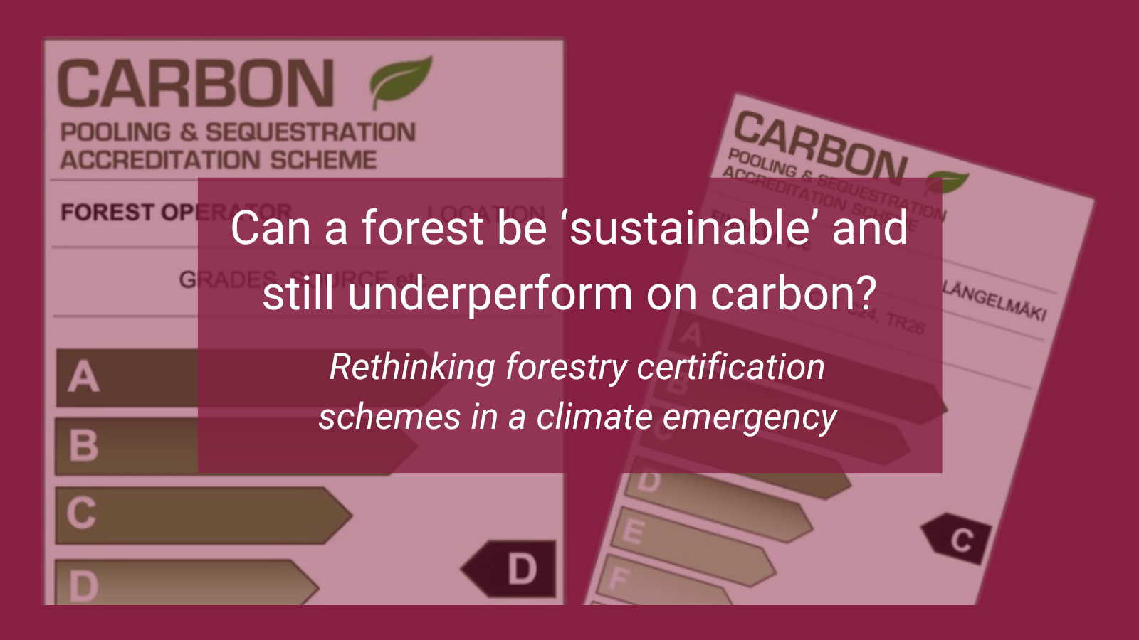 Can a forest be ‘sustainable’ and still underperform on carbon