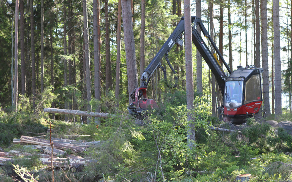 Timber frame construction environmental benefits timber extraction